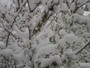 20130417_065654