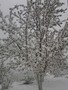 20130417_065711