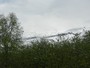 DSCN4654
