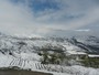 DSCN4674