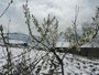DSCN4684